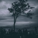 silhouette of people near tree